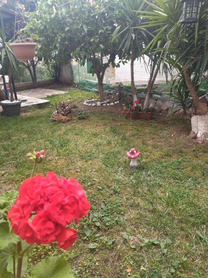 Sofis Garden Hotell Kavala Rum bild